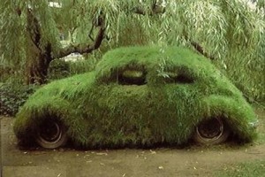 Na onda dos carros ecológicos